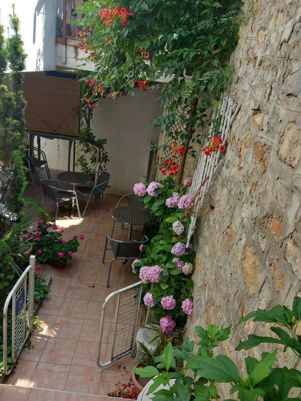 Vila Kosta City Center Port Ohrid Exterior photo