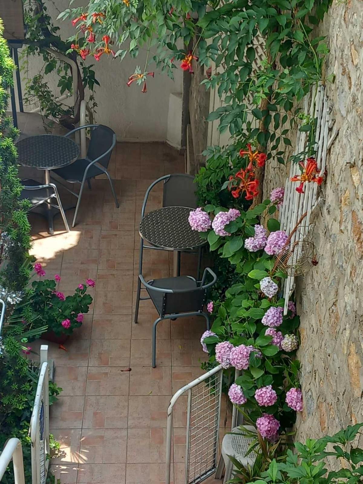 Vila Kosta City Center Port Ohrid Exterior photo