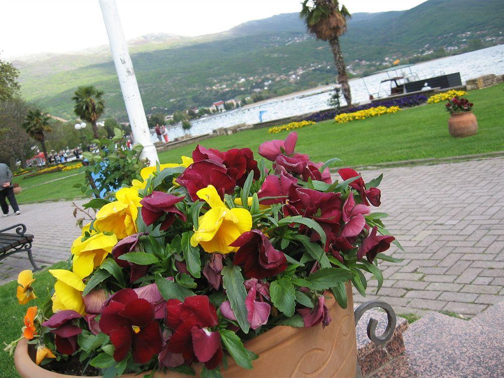 Vila Kosta City Center Port Ohrid Exterior photo