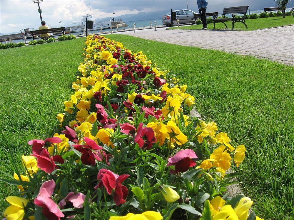 Vila Kosta City Center Port Ohrid Exterior photo